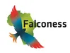 Logo Falconess