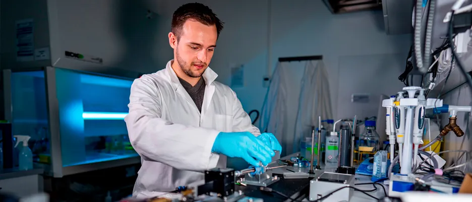 A scientist examines pig tracheas for damage