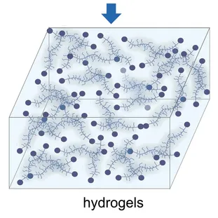 picture hydrogels